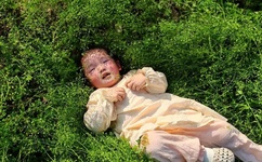 羞羞漫画页面免费漫画入口页面在线阅读